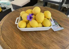 Lemons from Green Fuse Grove